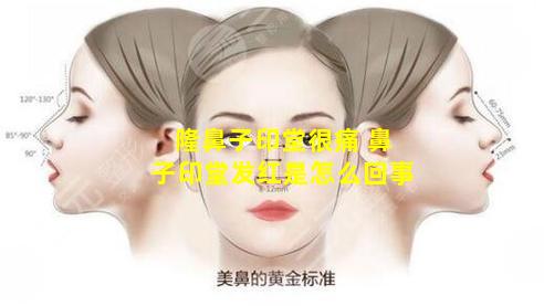 隆鼻子印堂很痛 鼻子印堂发红是怎么回事